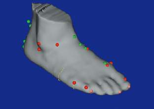 Infoot三维足型扫描